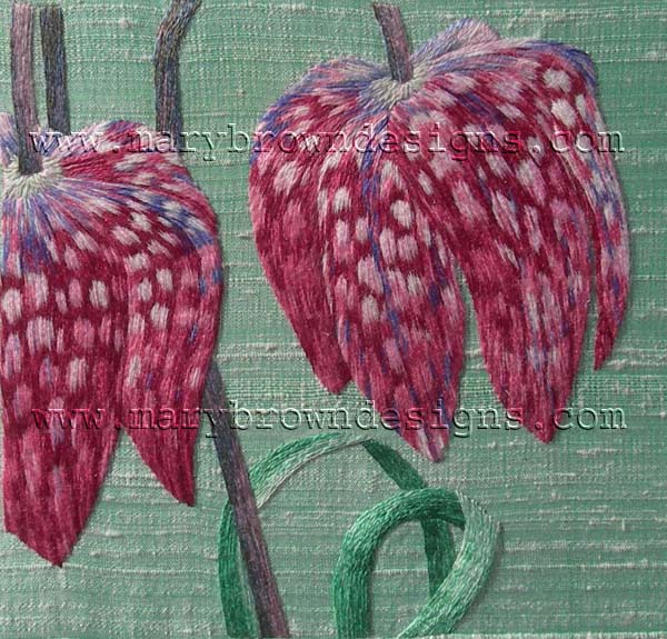 Silk Shaded Fritillaries